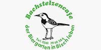 Bachstelze